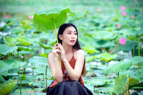stripchat. com|Vietnamese Free Live Sex Cams with Naked Girls .